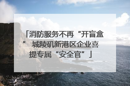 消防服务不再“开盲盒” 城陵矶新港区企业喜提专属“安全官”