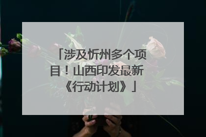 涉及忻州多个项目！山西印发最新《行动计划》