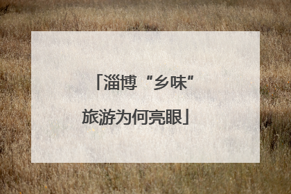淄博“乡味”旅游为何亮眼