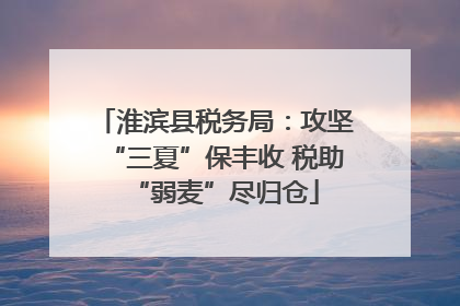 淮滨县税务局：攻坚“三夏”保丰收 税助“弱麦”尽归仓