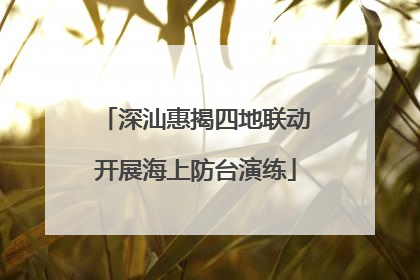 深汕惠揭四地联动开展海上防台演练