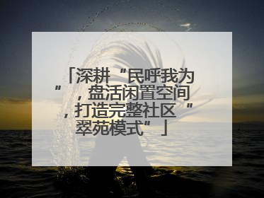 深耕“民呼我为”，盘活闲置空间，打造完整社区“翠苑模式”