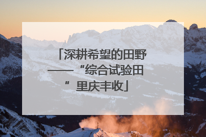 深耕希望的田野——“综合试验田”里庆丰收