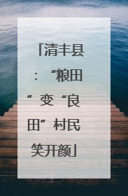 清丰县：“粮田”变“良田”村民笑开颜