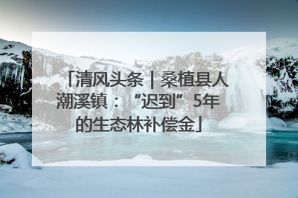 清风头条｜桑植县人潮溪镇：“迟到”5年的生态林补偿金