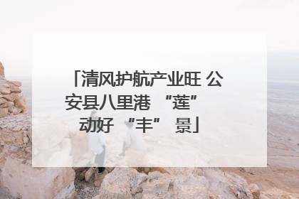 清风护航产业旺 公安县八里港 “莲” 动好 “丰” 景