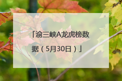 渝三峡A龙虎榜数据（5月30日）