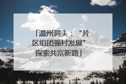 温州洞头：“片区组团强村发展”探索共富新路