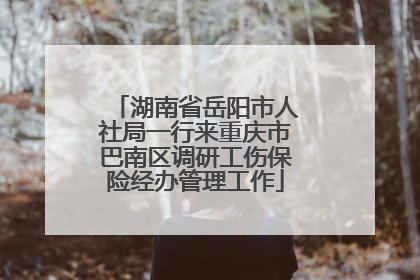 湖南省岳阳市人社局一行来重庆市巴南区调研工伤保险经办管理工作
