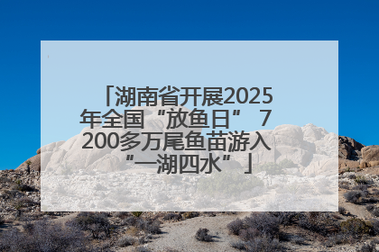 湖南省开展2025年全国“放鱼日” 7200多万尾鱼苗游入“一湖四水”