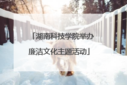 湖南科技学院举办廉洁文化主题活动