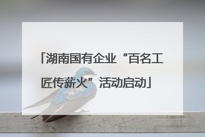 湖南国有企业“百名工匠传薪火”活动启动