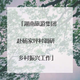 湖南旅游集团赴杨家坪村调研乡村振兴工作