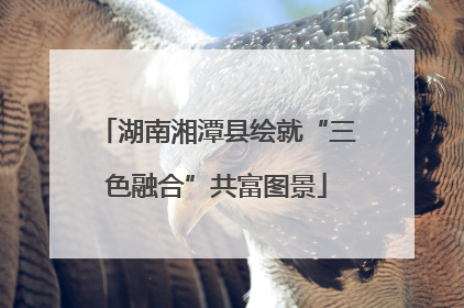 湖南湘潭县绘就“三色融合”共富图景