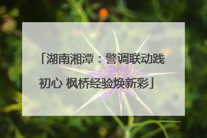 湖南湘潭：警调联动践初心 枫桥经验焕新彩