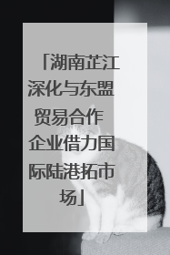 湖南芷江深化与东盟贸易合作 企业借力国际陆港拓市场
