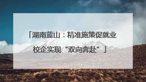 湖南蓝山：精准施策促就业 校企实现“双向奔赴”