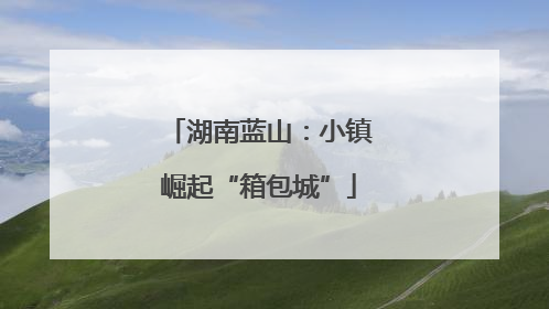 湖南蓝山：小镇崛起“箱包城”