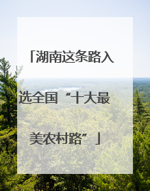 湖南这条路入选全国“十大最美农村路”