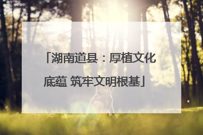 湖南道县：厚植文化底蕴 筑牢文明根基