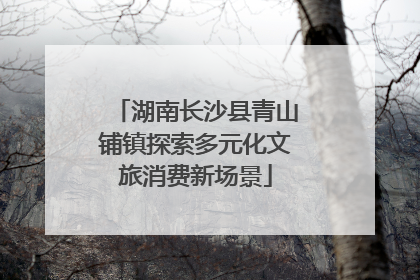湖南长沙县青山铺镇探索多元化文旅消费新场景