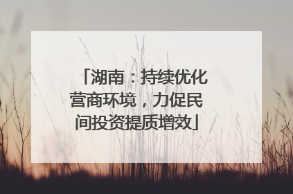 湖南：持续优化营商环境，力促民间投资提质增效