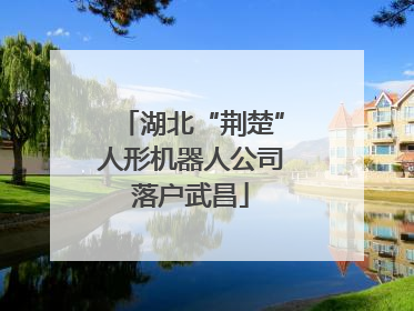 湖北“荆楚”人形机器人公司落户武昌