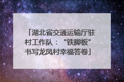 湖北省交通运输厅驻村工作队：“铁脚板”书写龙凤村幸福答卷