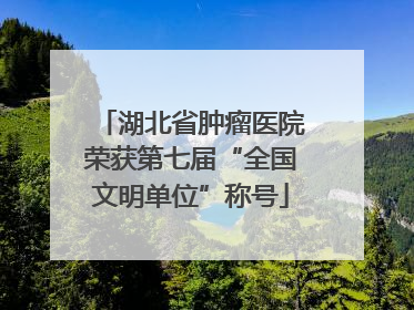 湖北省肿瘤医院荣获第七届“全国文明单位”称号