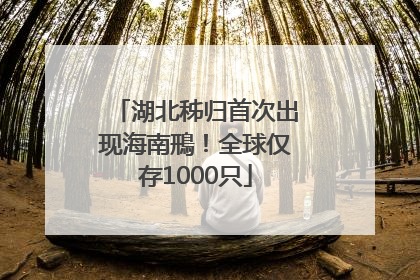 湖北秭归首次出现海南鳽！全球仅存1000只