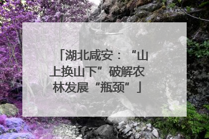 湖北咸安：“山上换山下”破解农林发展“瓶颈”