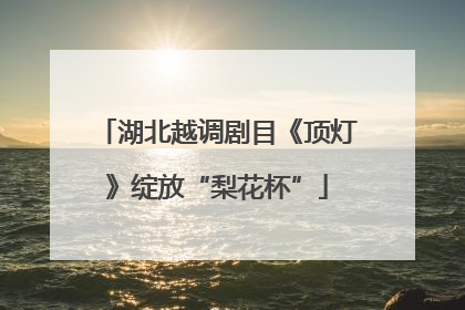 湖北越调剧目《顶灯》绽放“梨花杯”