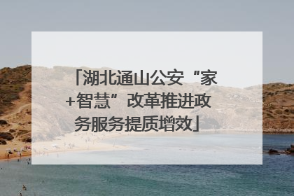 湖北通山公安“家+智慧”改革推进政务服务提质增效