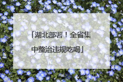 湖北部署！全省集中整治违规吃喝