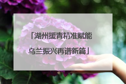 湖州援青精准赋能 乌兰振兴再谱新篇
