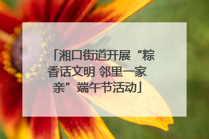 湘口街道开展“粽香话文明 邻里一家亲”端午节活动