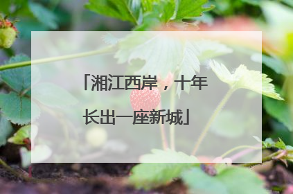 湘江西岸，十年长出一座新城