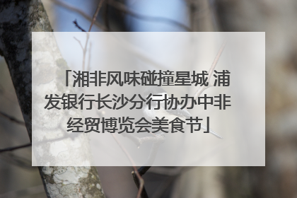 湘非风味碰撞星城 浦发银行长沙分行协办中非经贸博览会美食节
