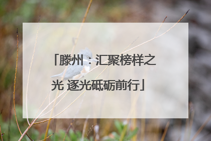 滕州：汇聚榜样之光 逐光砥砺前行