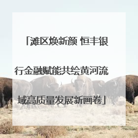 滩区焕新颜 恒丰银行金融赋能共绘黄河流域高质量发展新画卷