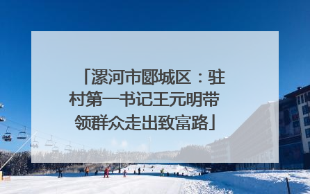 漯河市郾城区：驻村第一书记王元明带领群众走出致富路
