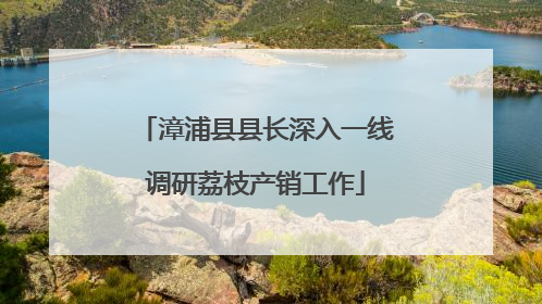 漳浦县县长深入一线调研荔枝产销工作