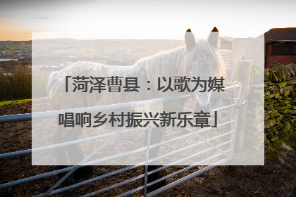 菏泽曹县：以歌为媒 唱响乡村振兴新乐章