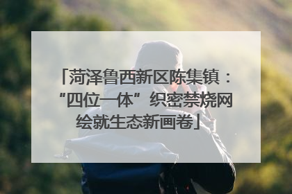 菏泽鲁西新区陈集镇：“四位一体”织密禁烧网 绘就生态新画卷