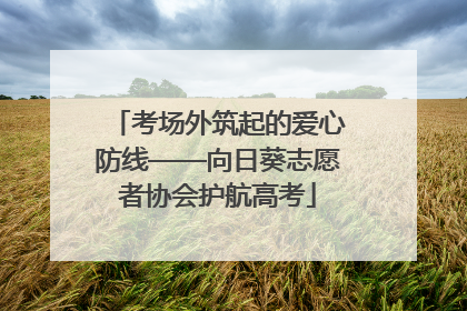考场外筑起的爱心防线——向日葵志愿者协会护航高考