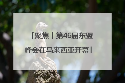 聚焦丨第46届东盟峰会在马来西亚开幕