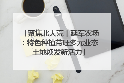 聚焦北大荒｜延军农场：特色种植带旺多元业态 土地焕发新活力