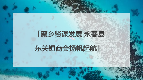聚乡贤谋发展 永春县东关镇商会扬帆起航
