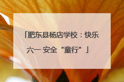 肥东县杨店学校：快乐六一 安全“童行”