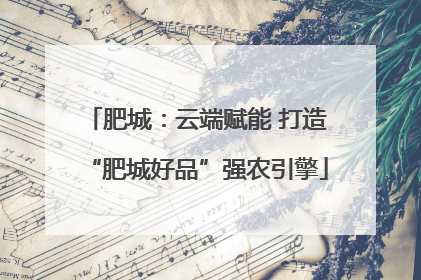 肥城：云端赋能 打造“肥城好品”强农引擎